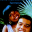Jhon herney