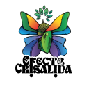 thumb_5c8e6ff4c44da89922177a944e843c2d Mi PerfilEfecto Cris&aacute;lida perfil - N&uacute;cleo Urbano